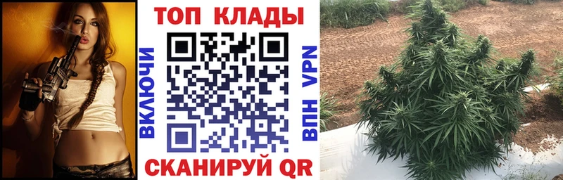 Купить наркотики Котельники АМФЕТАМИН Мефедрон ГАШ Канабис Псилоцибиновые грибы Кетамин APVP