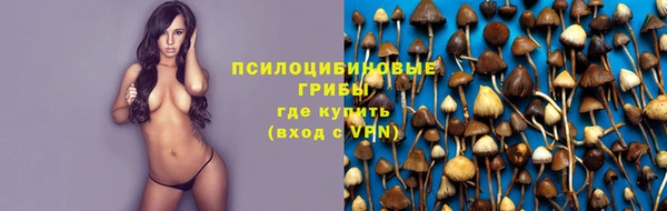 дмт Верея