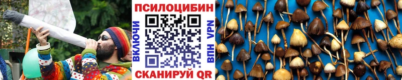 мега онион  Котельники  Галлюциногенные грибы мухоморы  цены наркотик 